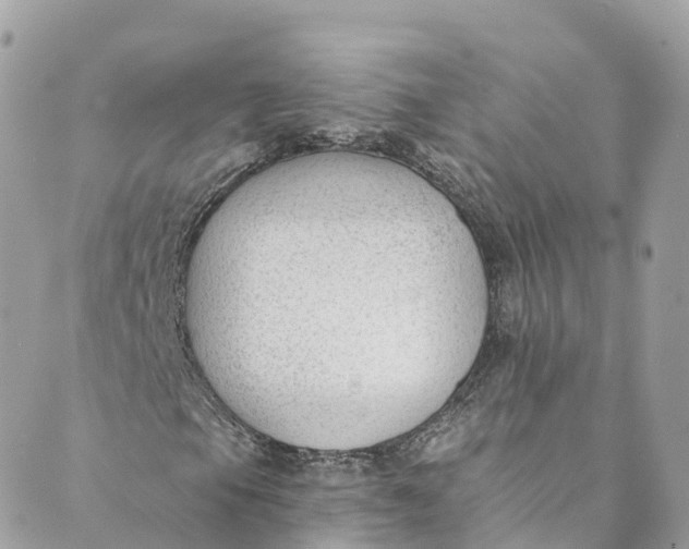 X0000088911105200706291522