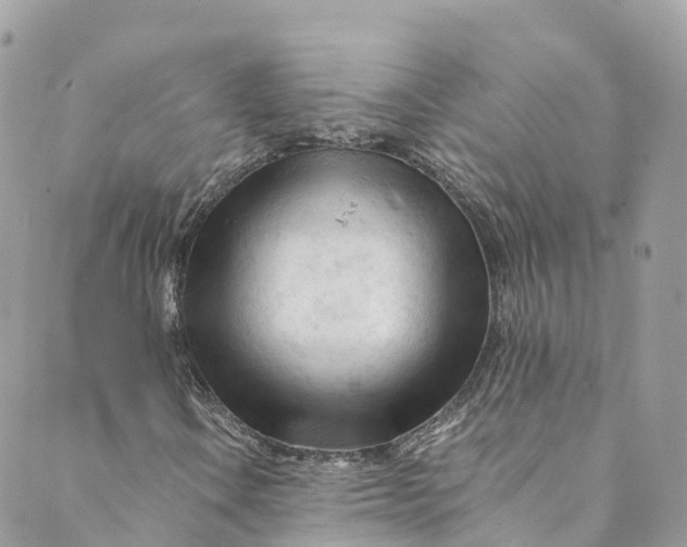 X0000088911106200706291522