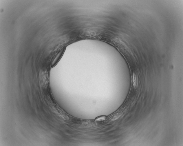 X0000088911107200706291522