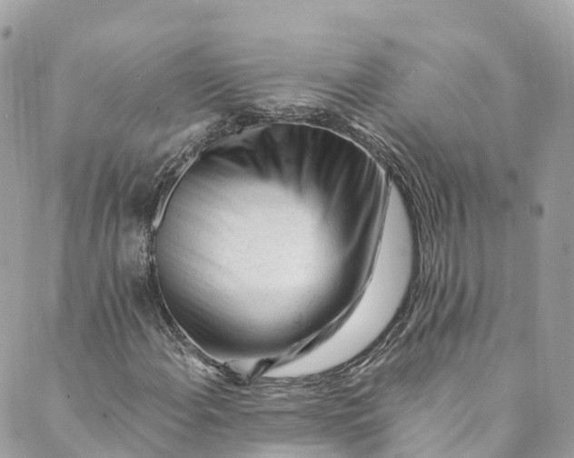 X0000088911108200706291522