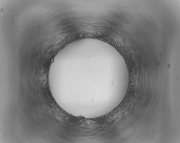 X0000088911109200706291522