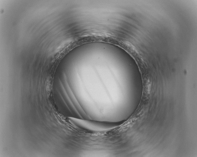 X0000088911110200706291522