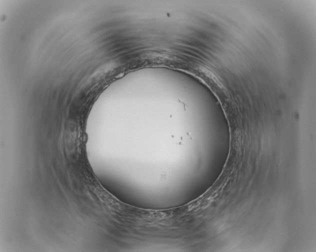 X0000088911111200706291522