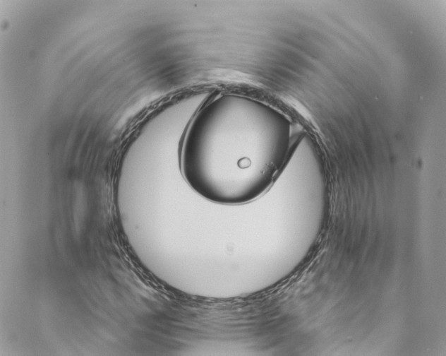 X0000088911112200706291522