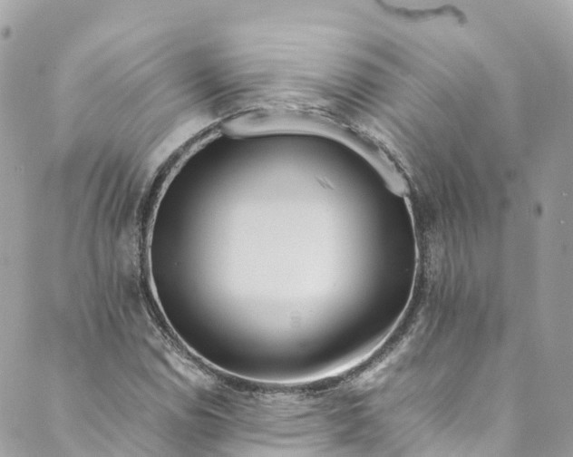 X0000088911114200706291522