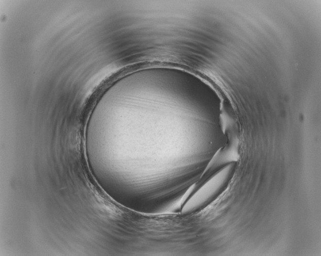 X0000088911115200706291522