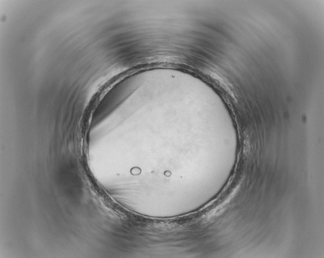 X0000088911117200706291522