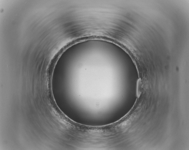 X0000088911118200706291522