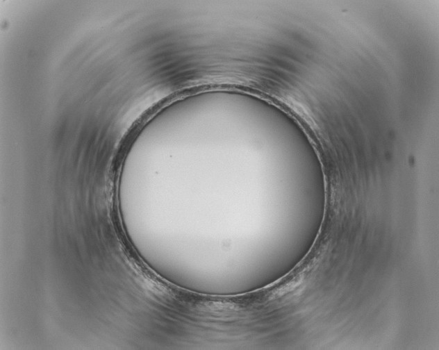 X0000088911119200706291522