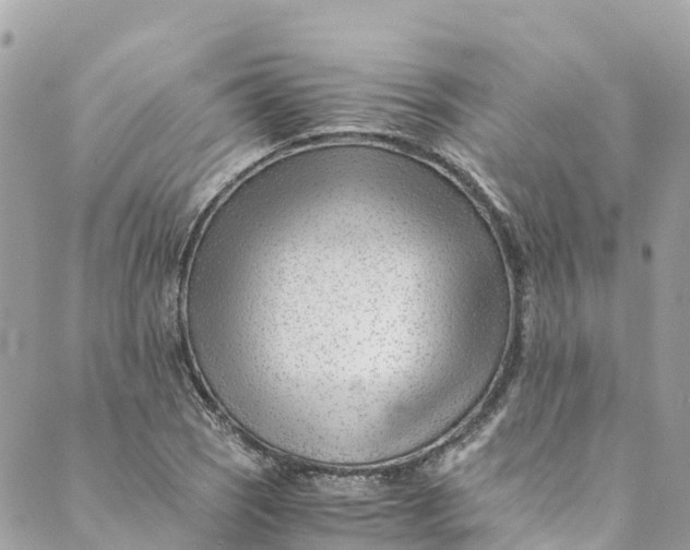 X0000088911121200706291523