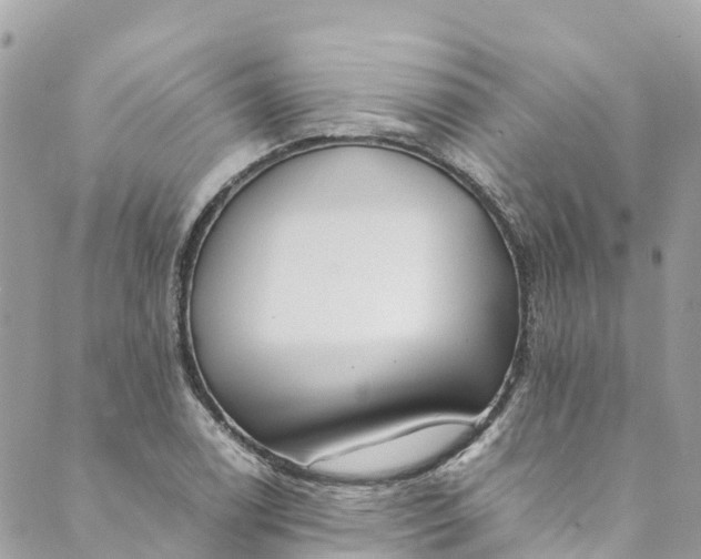 X0000088911122200706291523