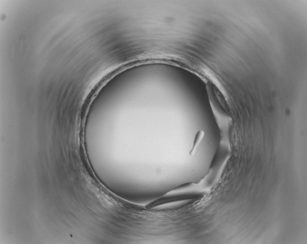 X0000088911124200706291523