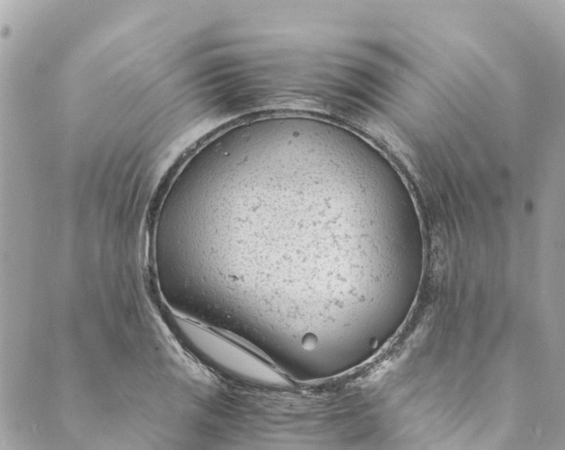 X0000088911125200706291523