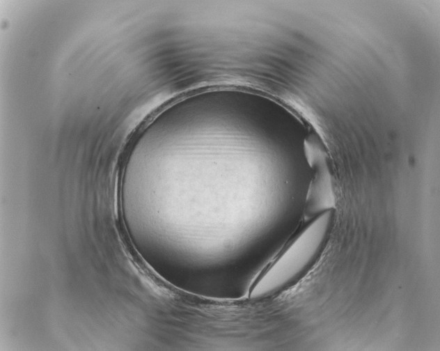 X0000088911127200706291523