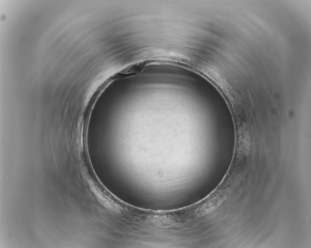 X0000088911128200706291523