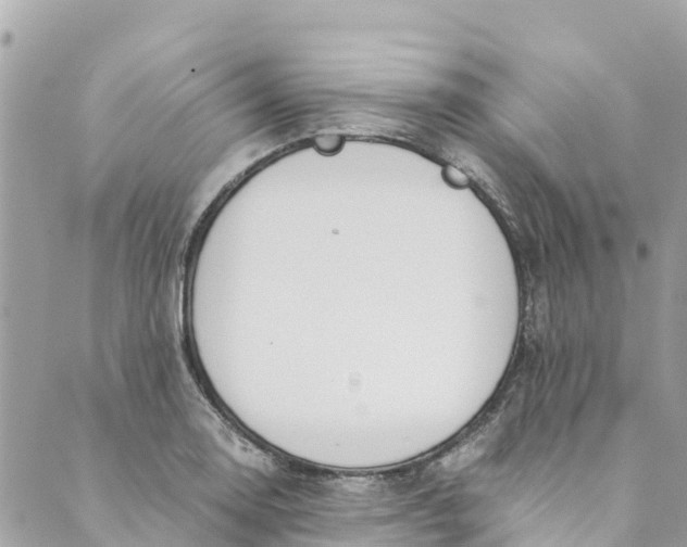 X0000088911130200706291523