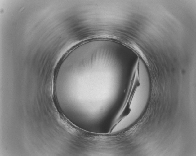 X0000088911132200706291523