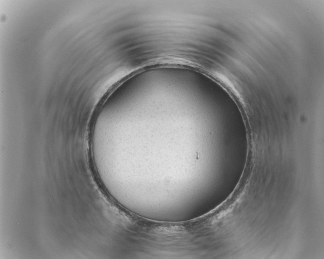 X0000088911133200706291523