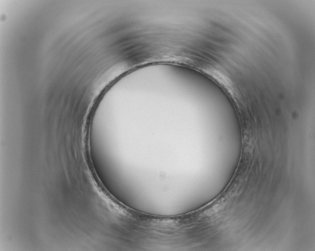 X0000088911135200706291523