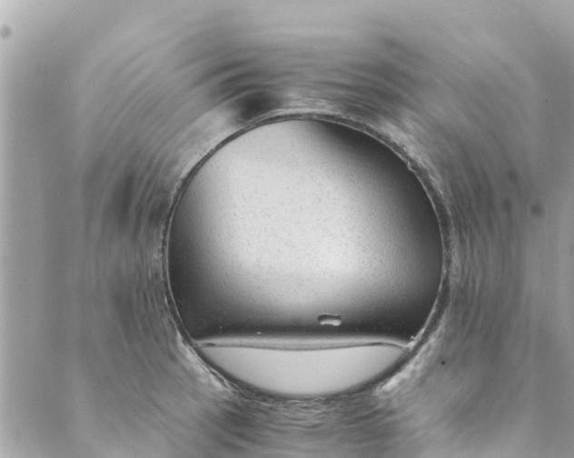 X0000088911137200706291523