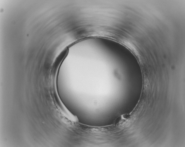 X0000088911138200706291523