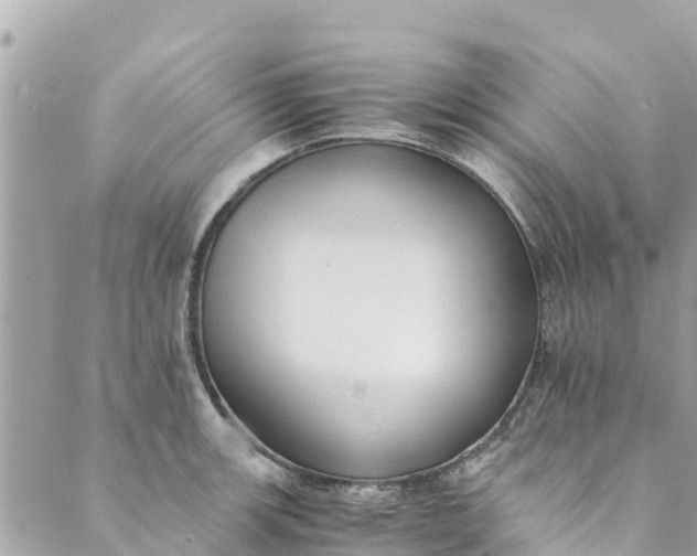 X0000088911139200706291523