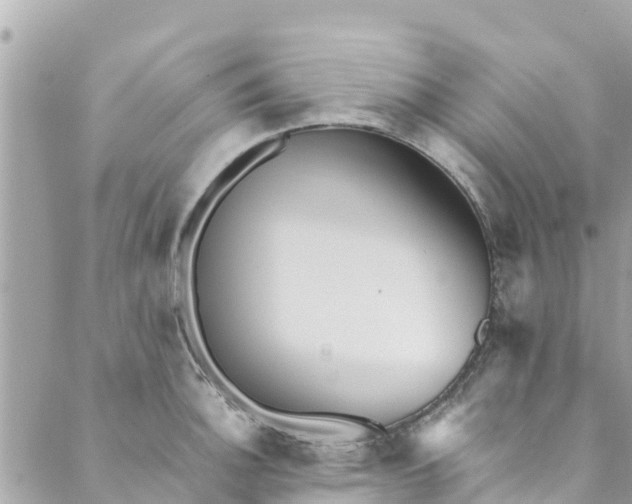 X0000088911140200706291523