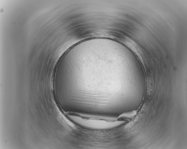 X0000088911141200706291523