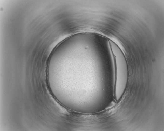 X0000088911142200706291523