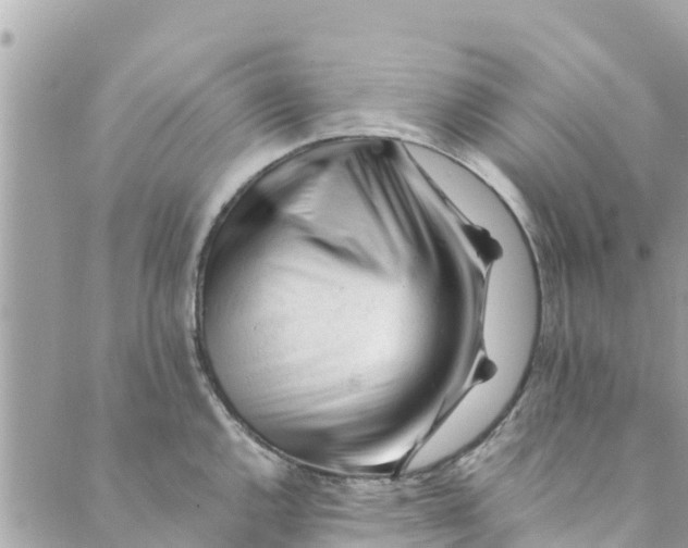 X0000088911144200706291523