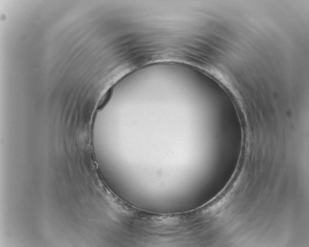 X0000088911145200706291523