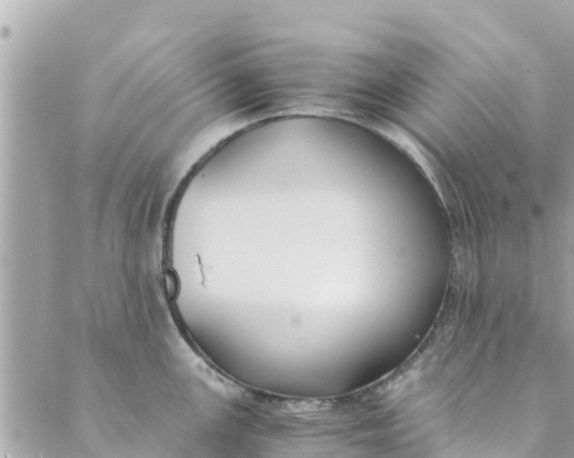 X0000088911147200706291523