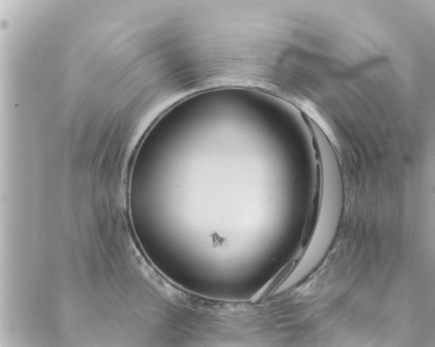 X0000088911148200706291523