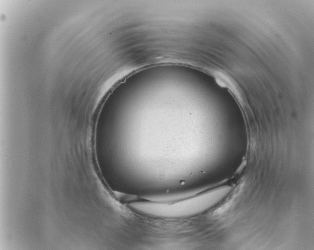 X0000088911149200706291523