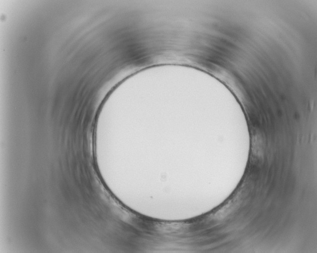 X0000088911150200706291523