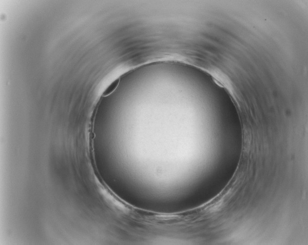 X0000088911151200706291523