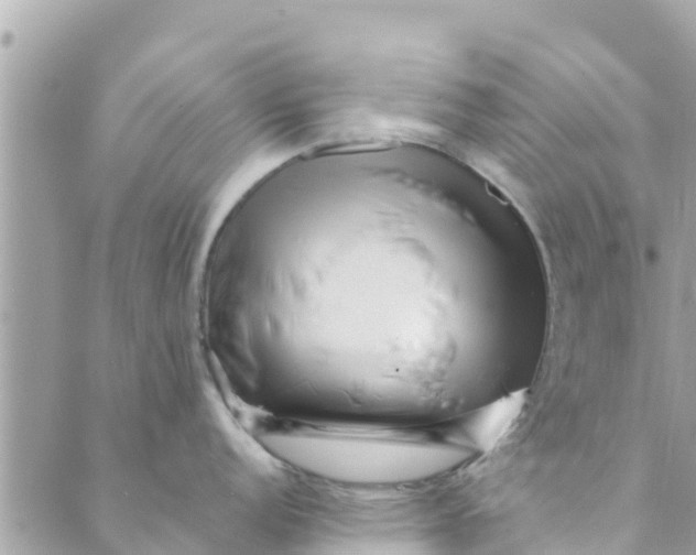 X0000088911152200706291523