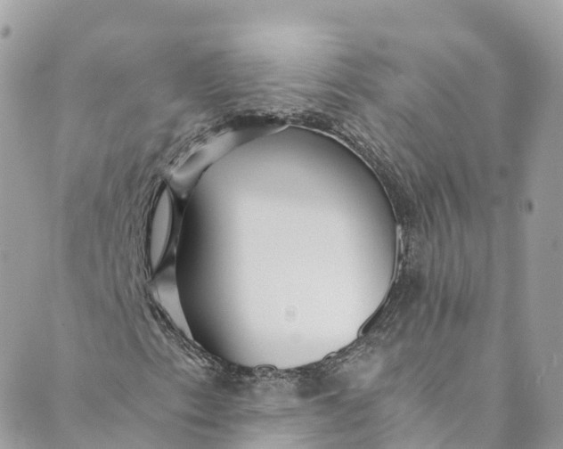 X0000088911153200706291522