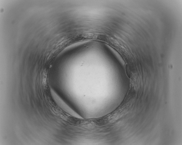 X0000088911154200706291522