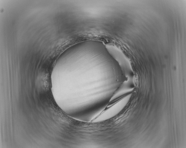 X0000088911156200706291522