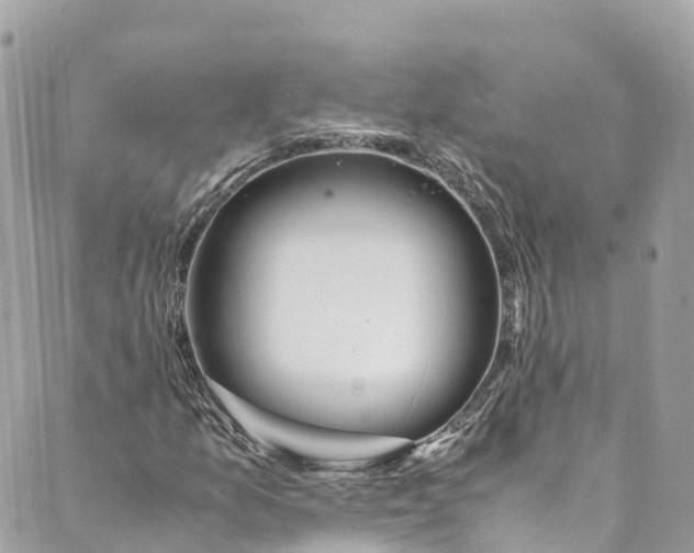 X0000088911157200706291522