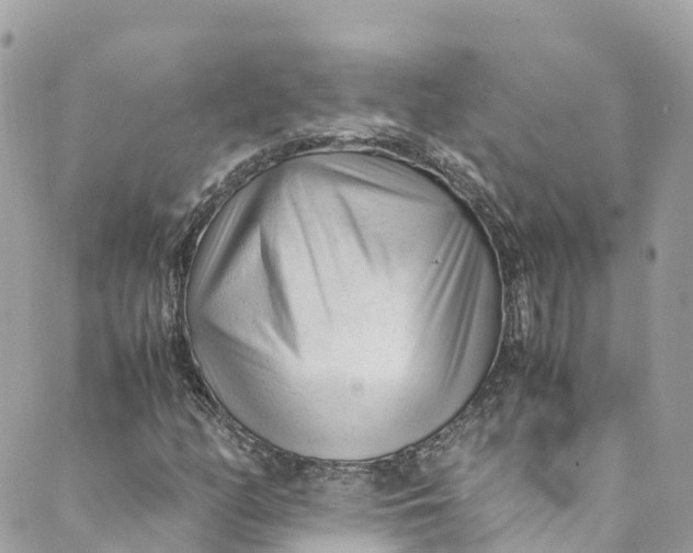 X0000088911158200706291522