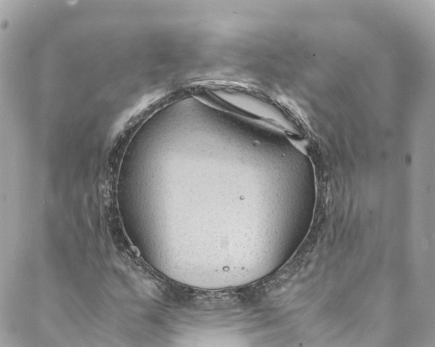 X0000088911159200706291522