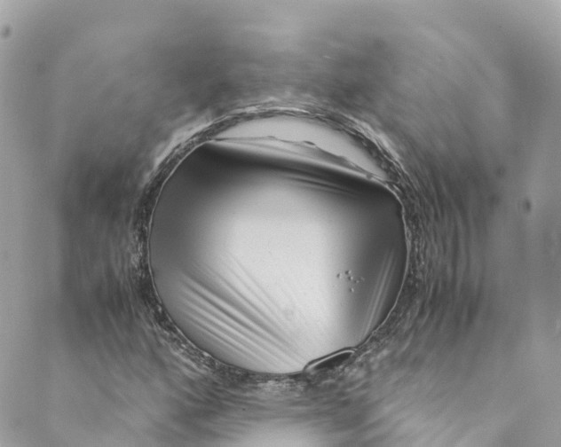 X0000088911160200706291522