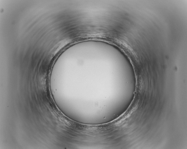 X0000088911162200706291522