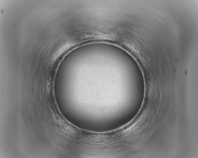 X0000088911163200706291522