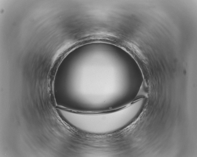 X0000088911164200706291522