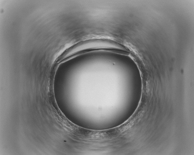 X0000088911165200706291522