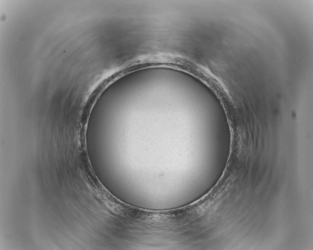 X0000088911166200706291522