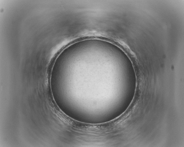 X0000088911167200706291522